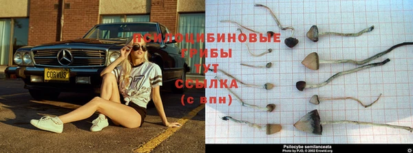 кокс Богданович